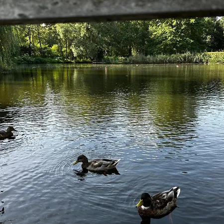 In Проживание в семье
