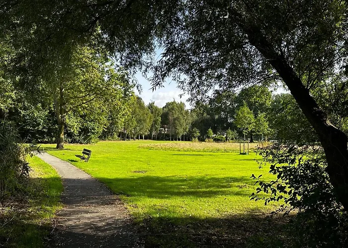 Проживание в семье In *