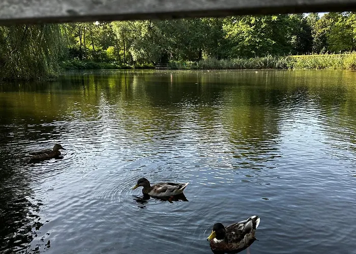 In Δωμάτια σε οικογενειακή κατοικία